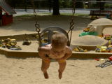 swingin out.jpg