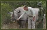Feeding a Rhino.jpg