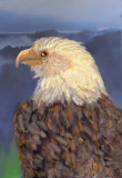 Lonely Eagle.jpg