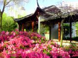 Chinese Gardens - Sydney