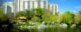 Chinese Gardens - Panoramic Wide