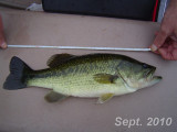 DSC05482.jpg