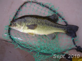 DSC05483.jpg