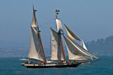 San Francisco Sailship Parade_1433.jpg