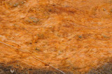 Yellowstone Patterns 01