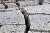 Yellowstone Patterns 04