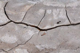Yellowstone Patterns 06