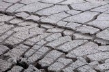 Yellowstone Patterns 15