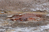Yellowstone Patterns 16