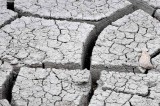 Yellowstone Patterns 17
