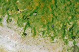 Yellowstone Patterns 22