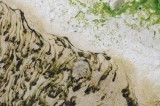 Yellowstone Patterns 24
