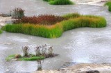 Yellowstone Tour  21