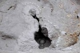Yellowstone Tour  22