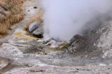 Yellowstone Tour  28