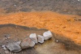 Yellowstone Tour  37