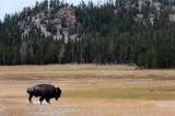Yellowstone Tour  40