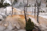 Yellowstone Tour  51