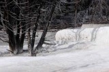 Yellowstone Tour  54