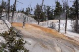 Yellowstone Tour  56