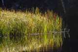 September on the Au Sable 26
