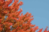 September on the Au Sable 47
