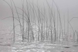 On Marl Lake 16