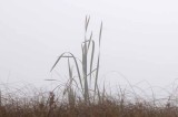 On Marl Lake 19
