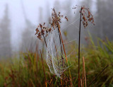 On Marl Lake 22