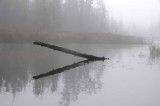 On Marl Lake 29
