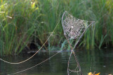On Marl Lake 35
