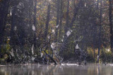 On Marl Lake 37