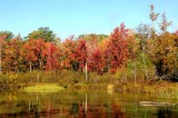 On Marl Lake 44