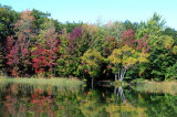 On Marl Lake 54