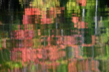 On Marl Lake 55