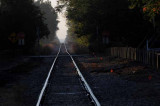 Track to Roscommon