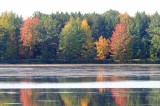 Autumns Trees 20