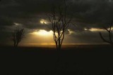 Sunset on the Serengeti