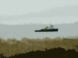 Bodega Bay, CA