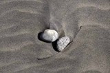 Pt. Reyes - Bodega Bay  39