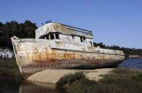 Pt. Reyes - Bodega Bay  4