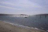 Pt. Reyes - Bodega Bay  64