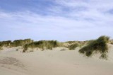 Pt. Reyes - Bodega Bay  87