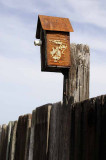 Pt. Reyes - Bodega Bay  93