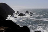 Pt. Reyes - Bodega Bay  109