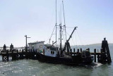 Pt. Reyes - Bodega Bay  117