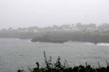 To Mendocino, CA 16