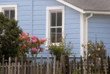 To Mendocino, CA 24