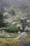 To Mendocino, CA 57