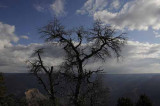 Grand Canyon National Park 16